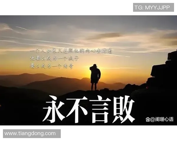 陈磊专访:深入探讨篮球成功背后的秘诀与心路历程 陈磊专访:深入探讨篮球成功背后的秘诀与心路历程