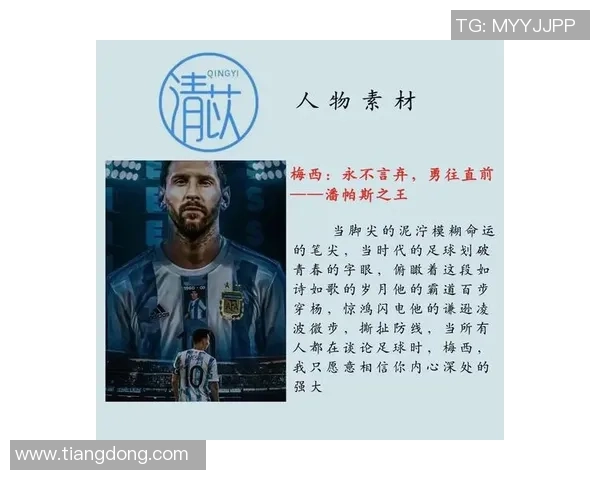 史上最高评分足球明星的辉煌成就与传奇故事揭秘