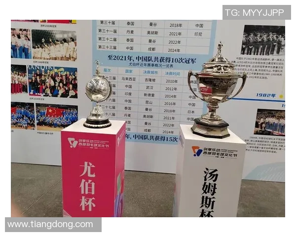 广州羽毛球队转型之路的挑战与机遇探索杯赛背后的故事与未来发展