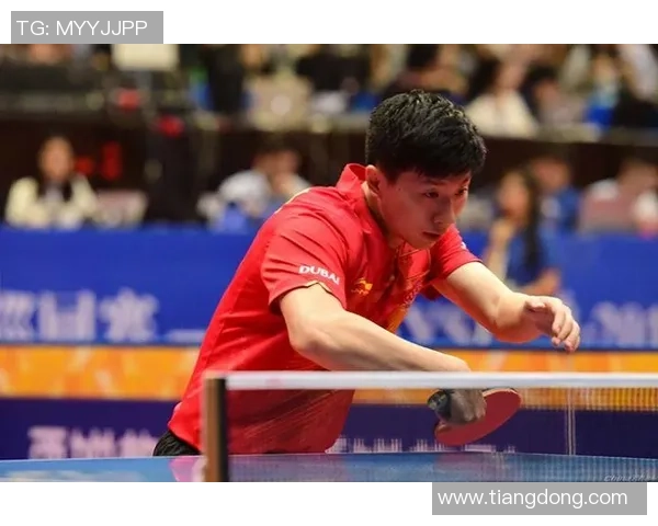 深入探讨上海乒乓球队技术特点与其他队伍的差异分析