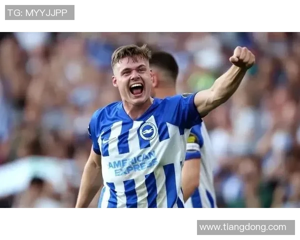 爱尔兰足球明星的辉煌历程与成就探秘