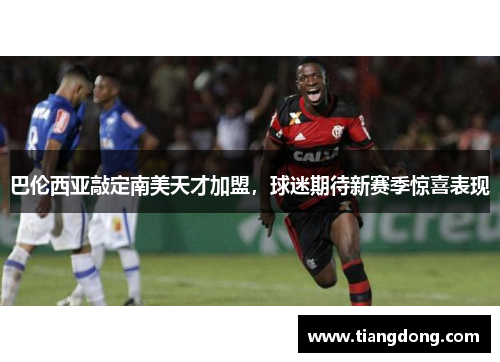 巴伦西亚敲定南美天才加盟，球迷期待新赛季惊喜表现