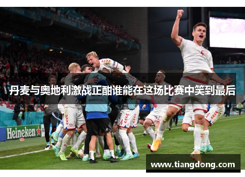 丹麦与奥地利激战正酣谁能在这场比赛中笑到最后
